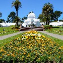 sightseeing Tour of Golden Gate Park
