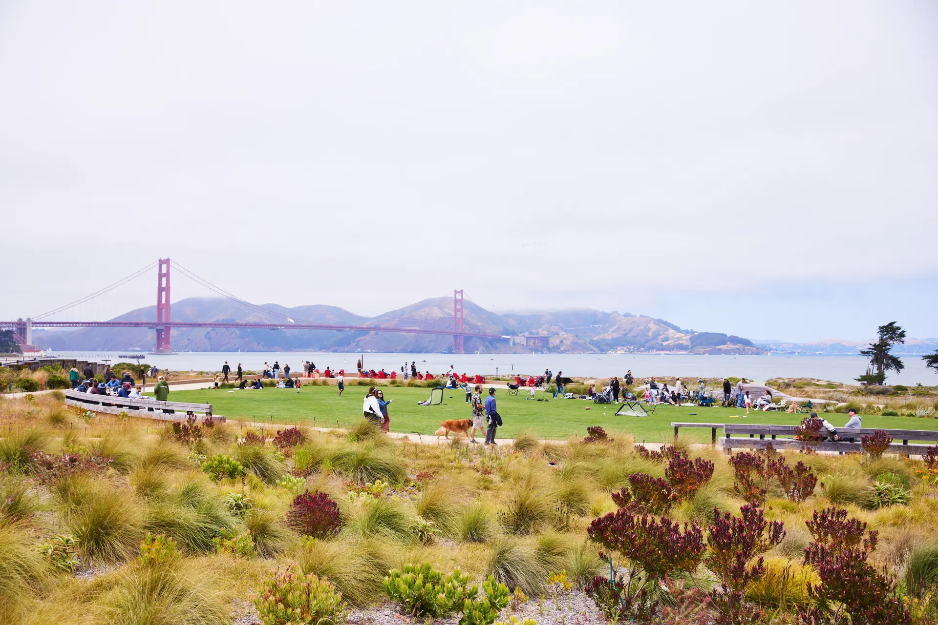 PRESIDIO Tunnel tops Park photo by RachelStyer cc 4.0