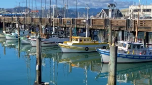 Historic fishing boats docked at Fisherman’s Wharf in San Francisco
