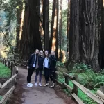 Four tour guests walking along a trail among giant redwood trees in Muir Woods National Park on a private tour from San Francisco
