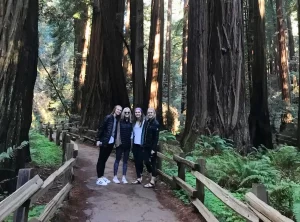 Four tour guests walking along a trail among giant redwood trees in Muir Woods National Park on a private tour from San Francisco
