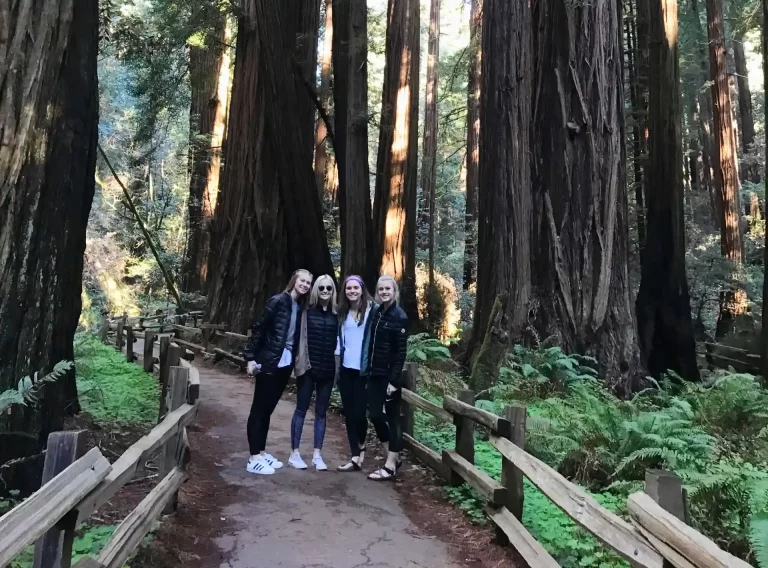 Four tour guests walking along a trail among giant redwood trees in Muir Woods National Park on a private tour from San Francisco