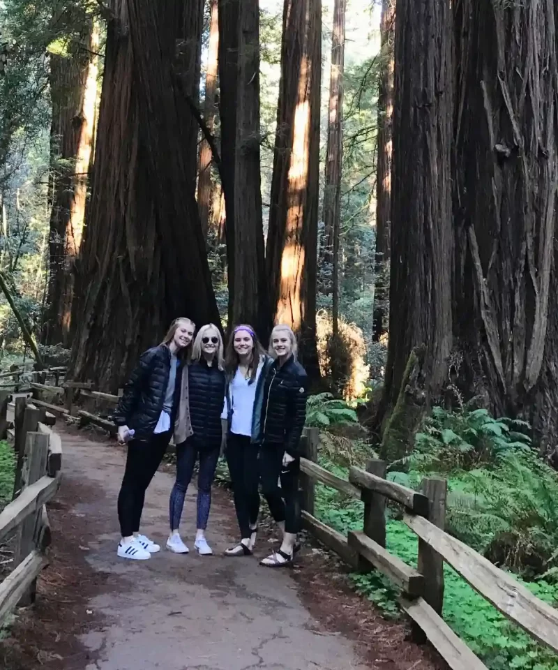 Four tour guests walking along a trail among giant redwood trees in Muir Woods National Park on a private tour from San Francisco