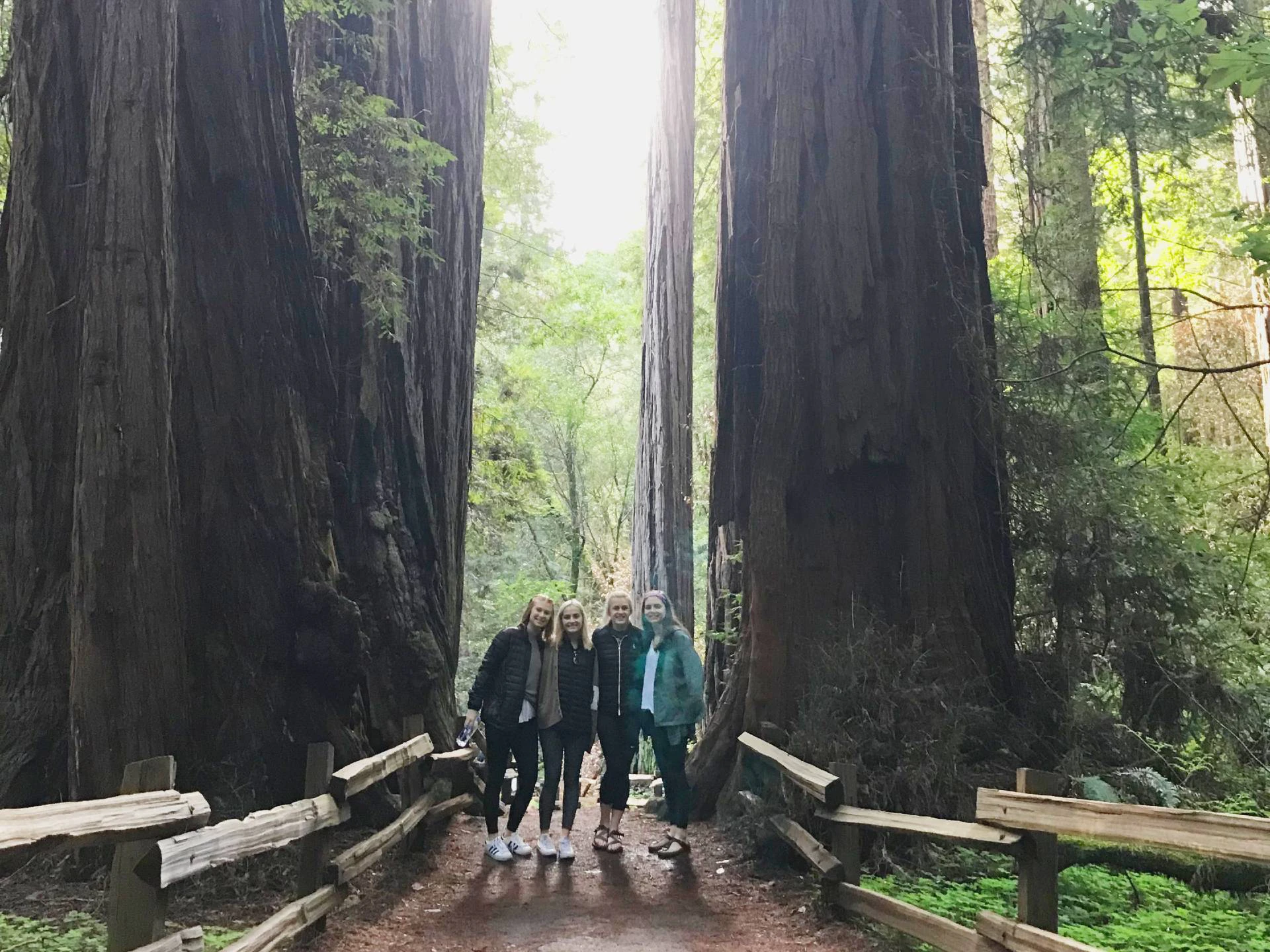 Muir Woods Jeep Tours
