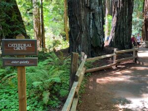 Guests walking toward Cathedral Grove at Muir Woods National Park near entrance signs including one that reads “Enter Quietly”
