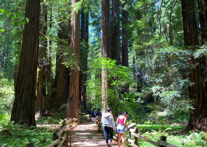 Muir Woods National Park Tours with San Francisco Jeep Tours