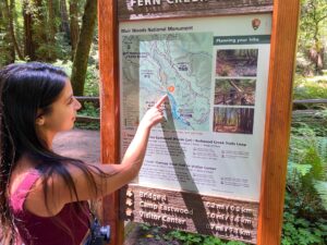 Guests reading a trail information sign while planning their visit at Muir Woods National Park