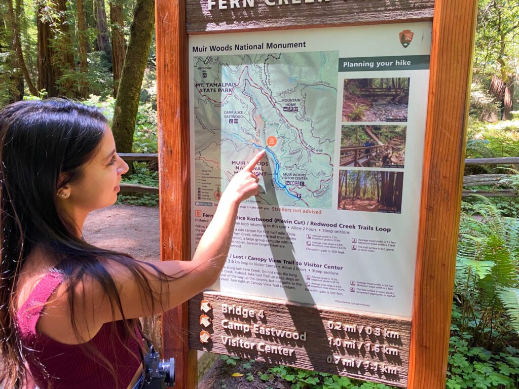 Plan your trip to Muir Woods National Mounument