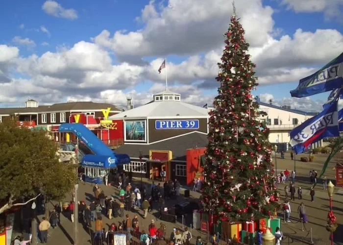Pier 39 Christmas tree is part of the Holiday Lights tour with San Francisco Jeep Tours