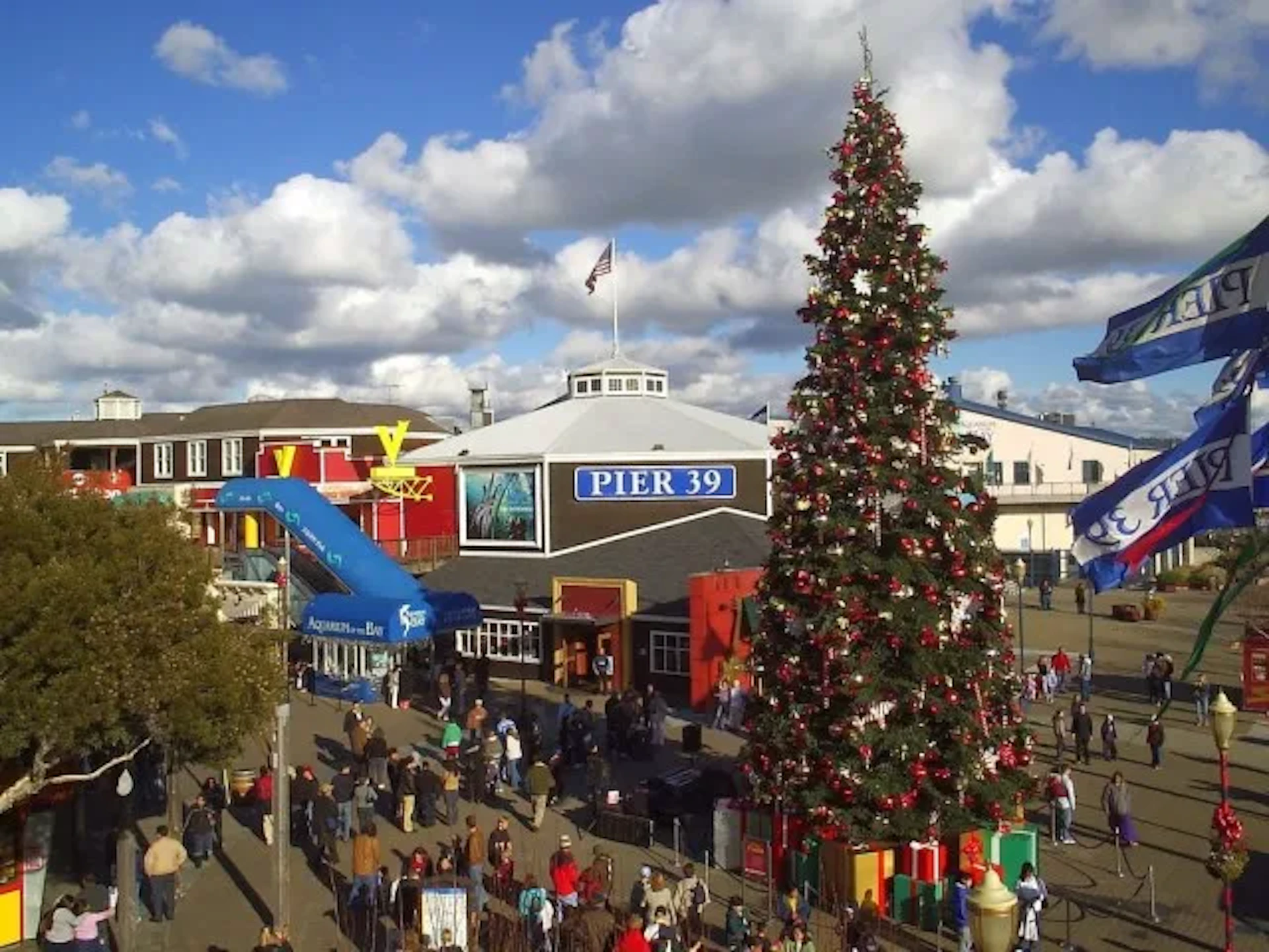 Pier 39 Christmas tree is part of the Holiday Lights tour with San Francisco Jeep Tours